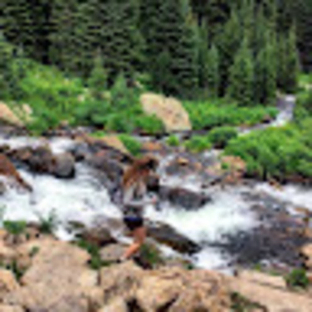 Meet your Posher, Allie